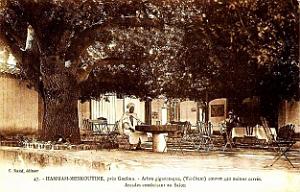 019- Hammam-Meskoutine
